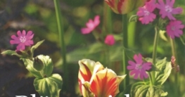 Blütenreich - Gestaltungsideen mit Blumenzwiebeln und Stauden - BLV