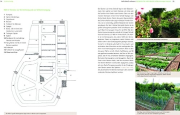 Basiswissen Selbstversorgung aus Biogärten: Individuelle und gemeinschaftliche Wege und Möglichkeiten