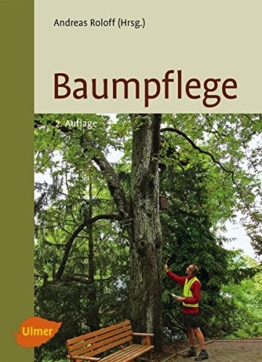 Baumpflege