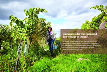 Bio-Wein im eigenen Garten: Wie Anbau, Pflege und Ernte auf kleiner Fläche gelingen