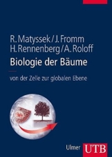Biologie der Bäume: Von der Zelle zur globalen Ebene