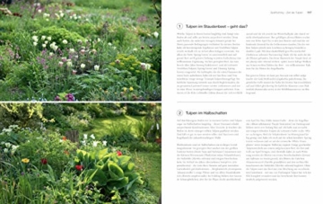 Blütenreich: Ausdauernde und außergewöhnliche Gestaltungsideen mit Blumenzwiebeln und Stauden (Gartengestaltung)