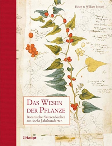 Das Wesen der Pflanze: Botanische Skizzenbücher aus sechs Jahrhunderten