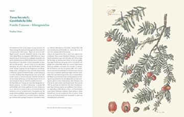 Die Kunst der botanischen Illustration: Die schönsten zeitgenössischen Pflanzenporträts des Chelsea Physic Garden