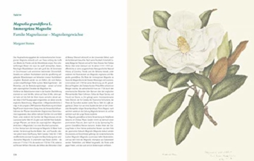 Die Kunst der botanischen Illustration: Die schönsten zeitgenössischen Pflanzenporträts des Chelsea Physic Garden