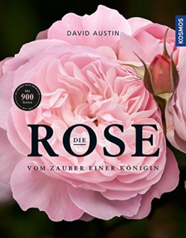 Die Rose: Vom Zauber einer Königin