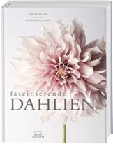 Faszinierende Dahlien