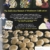 Growing Gourmet and Medicinal Mushrooms - Pilzanbau