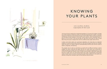 House of Plants: Living with Succulents, Air Plants and Cacti