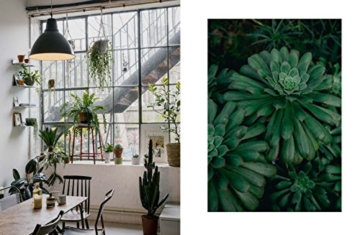 House of Plants: Living with Succulents, Air Plants and Cacti