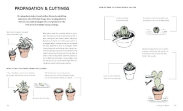 Living With Plants: A Guide To Indoor Gardening