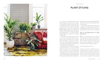 Living With Plants: A Guide To Indoor Gardening