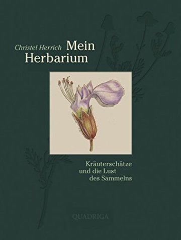 Mein Herbarium: Kräuterschätze und die Lust des Sammelns