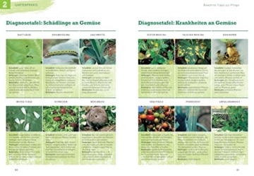 Obst & Gemüse selbst anbauen: Schritt für Schritt zum eigenen Küchengarten