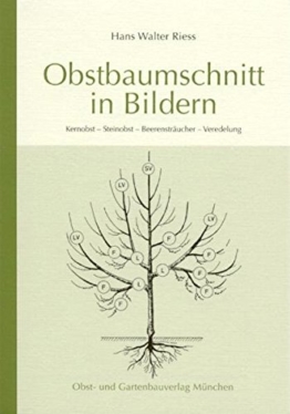 Obstbaumschnitt in Bildern