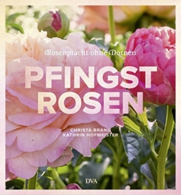 Pfingstrosen: Rosenpracht ohne Dornen
