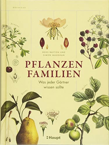 Pflanzenfamilien: Was jeder Gärtner wissen sollte