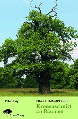 Praxis Baumpflege - Kronenschnitt an Bäumen