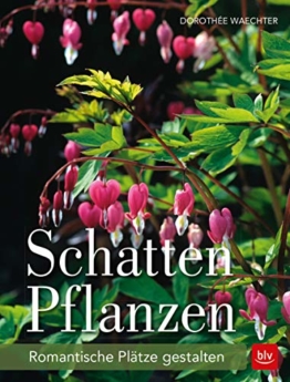 Schattenpflanzen: Romantische Plätze gestalten