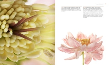 Seeing Flowers: Discover the Hidden Life of Flowers