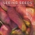 Seeing Seeds: A Journey Into the World of Seedheads, Pods, and Fruit