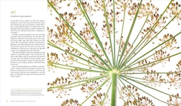 Seeing Seeds: A Journey Into the World of Seedheads, Pods, and Fruit
