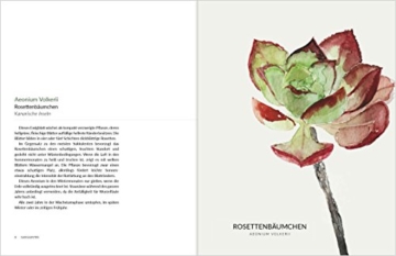 Urbane Botanik: Der Zimmerpflanzen für moderne Gärtner.