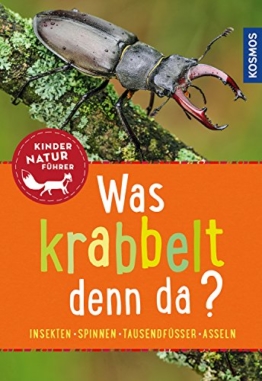 Was krabbelt denn da? Kindernaturführer: Insekten, Spinnen, Asseln, Tausendfüßer