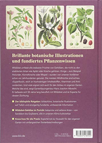 Wildes Obst: Seltene Arten für den Garten