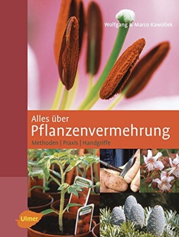 Alles über Pflanzenvermehrung - Methoden - Praxis - Handgriffe - 1