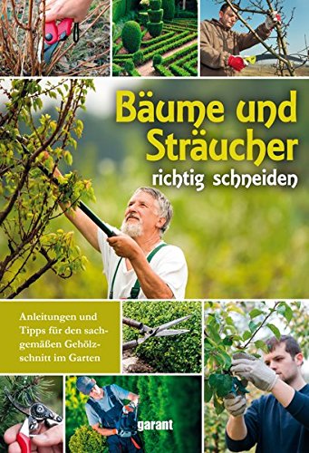 Bäume und Sträucher richtig schneiden - 1