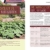Biogärten gestalten: Das große Planungsbuch. Gestaltungsideen, Detailpläne und Praxistipps für Obst- und Gemüseanbau - 2