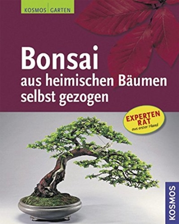 Bonsai aus heimischen Bäumen selbst gezogen - 1
