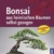Bonsai aus heimischen Bäumen selbst gezogen - 1