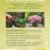 Bonsai ziehen, gestalten und pflegen: Schritt für Schritt zum Bonsaiprofi (GU Praxisratgeber Garten) - 2