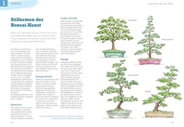 Bonsai ziehen, gestalten und pflegen: Schritt für Schritt zum Bonsaiprofi (GU Praxisratgeber Garten) - 5