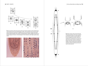 Botany for Gardeners - 4