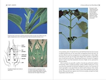 Botany for Gardeners - 6