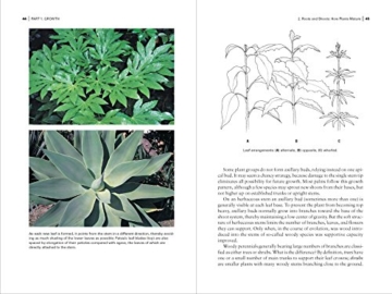 Botany for Gardeners - 7