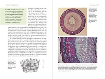 Botany for Gardeners - 8