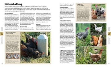 Das große Buch der Selbstversorgung: Erneuerbare Energien nutzen, Obst und Gemüse anbauen, Nutztiere halten, Einlegen, Einkochen und Räuchern, Naturheilmittel und mehr - 9