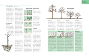 Das große GU Gartenbuch: Das Standardwerk für jeden Gartenliebhaber (GU Gartenspaß) - 5