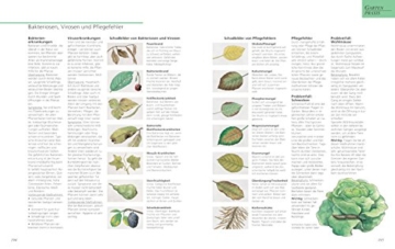 Das große GU Gartenbuch: Das Standardwerk für jeden Gartenliebhaber (GU Gartenspaß) - 6