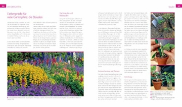 Der Biogarten: Das Original - komplett neu. Mit Videolinks im Buch - 11
