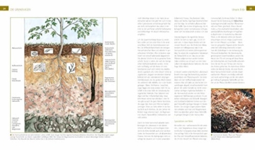 Der Biogarten: Das Original - komplett neu. Mit Videolinks im Buch - 7