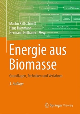 Energie aus Biomasse: Grundlagen, Techniken und Verfahren - 1
