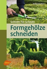 Formgehölze schneiden: Schnitt für Schnitt - 1