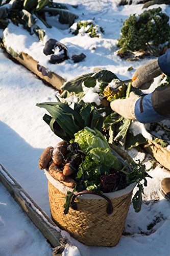 Frisches Gemüse im Winter ernten: Die besten Sorten und einfachsten Methoden für Garten und Balkon. Poster mit praktischem Anbau- und Erntekalender. 77 verschiedene Gemüse - 4