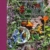 Kostbare Kräuterblüten: 95 Rezepte mit essbaren Schönheiten aus dem Garten - 1