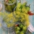 Kostbare Kräuterblüten: 95 Rezepte mit essbaren Schönheiten aus dem Garten - 2